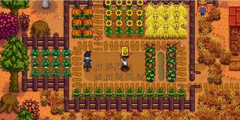Stardew Valley: Shocking Secret Discovered at Fateful Moment